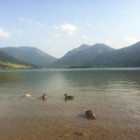 Ferienhaus Seehof Holiday home *